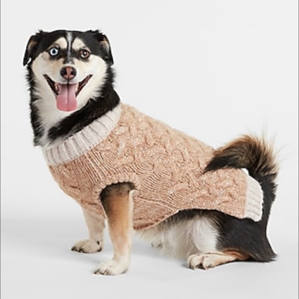Express Cable Knit Dog Sweater